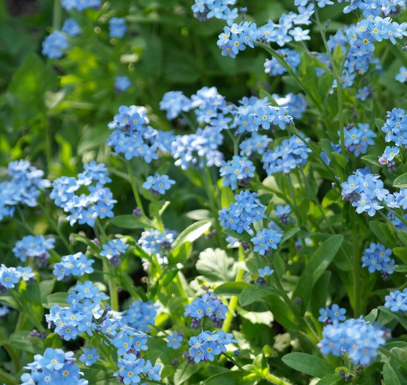 Frühlingsfarben 1