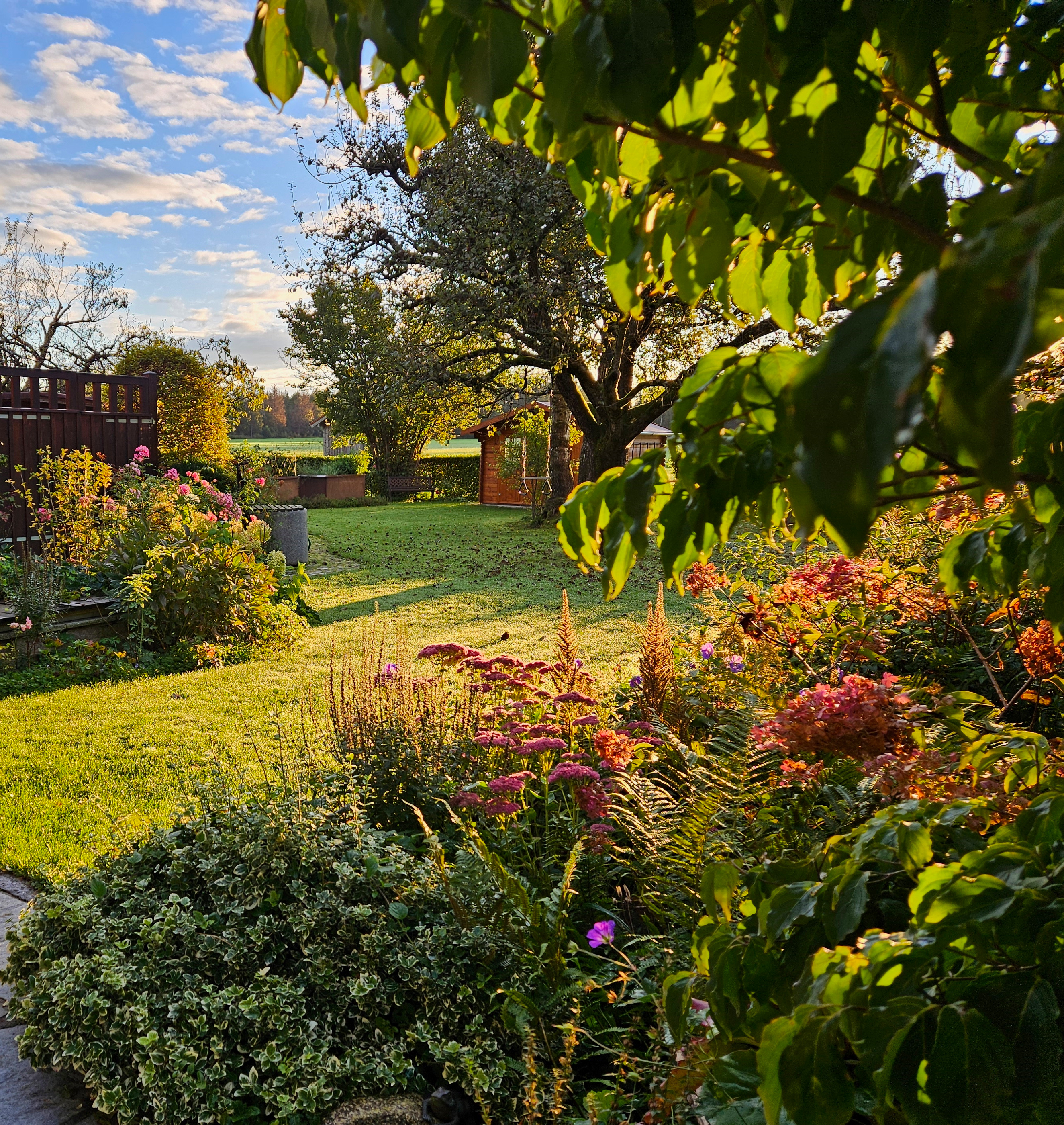 Herbstimpressionen 5